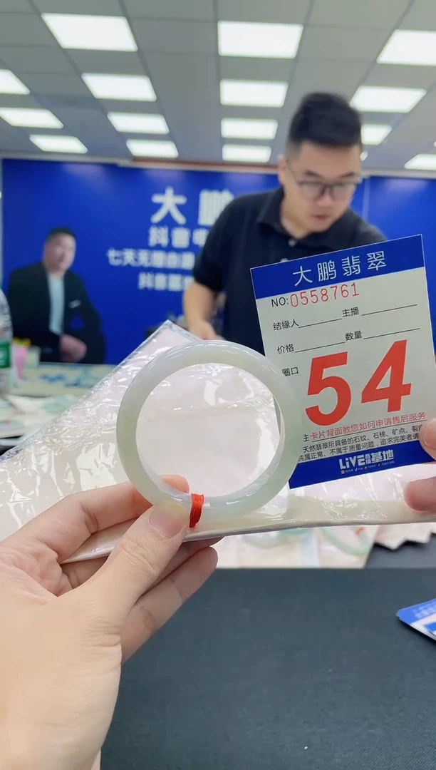 未镶嵌手镯翡翠AAAAAAAAA