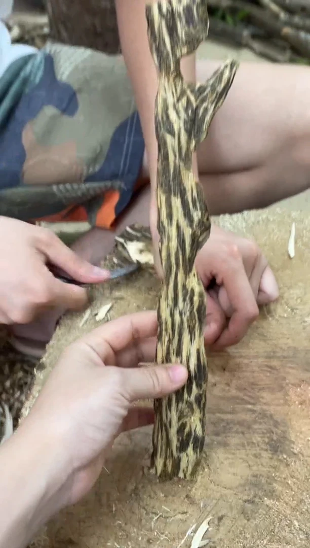 沉香碎屑沉香棋楠沉香 原料文创1