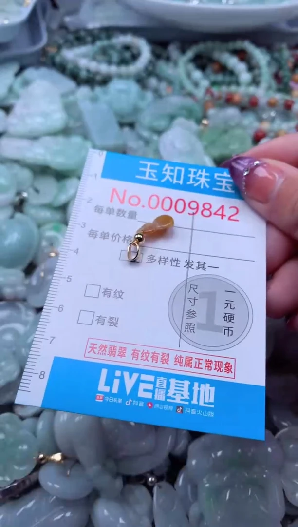 翡翠未镶嵌吊坠(不含链)9842