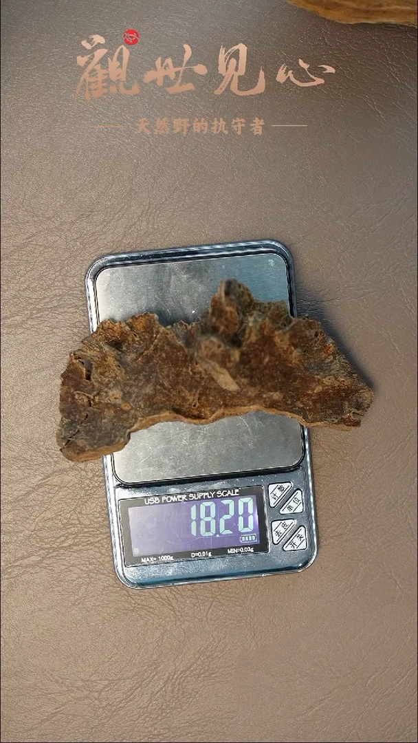 沉香沉香碎屑海南霸王岭  18.19g