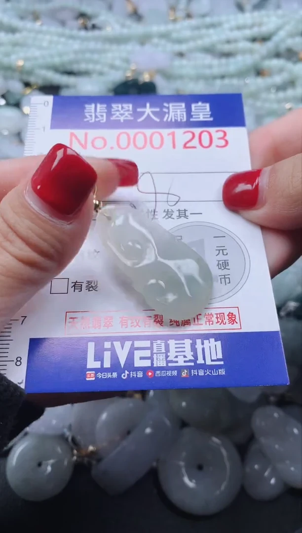 颈饰未镶嵌翡翠1203