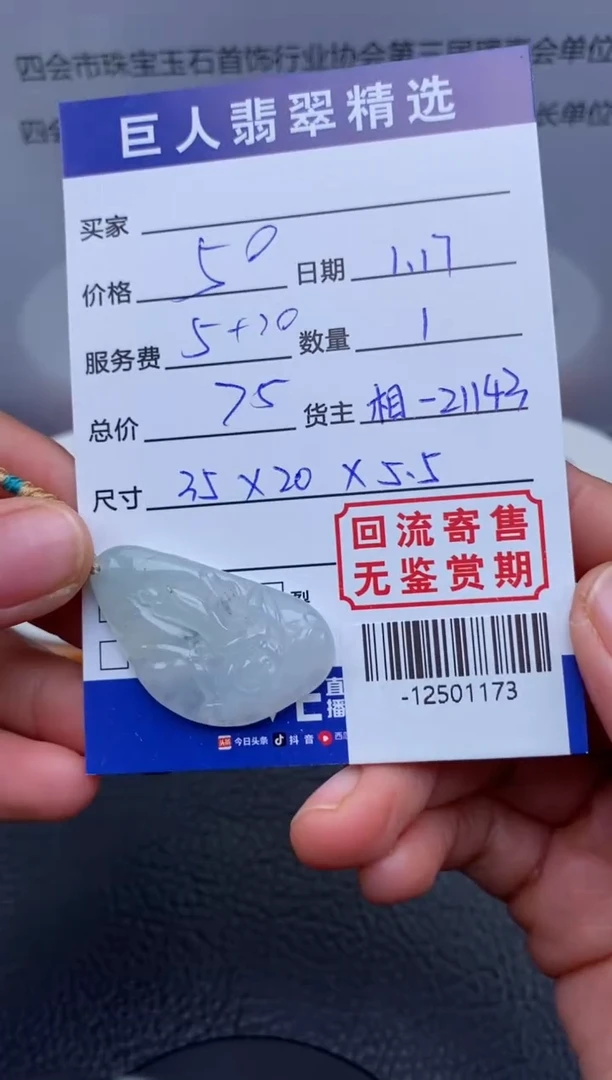 【闪购商品】翡翠颈饰未镶嵌-12501173