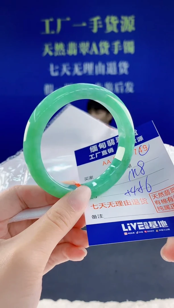 未镶嵌手镯翡翠49