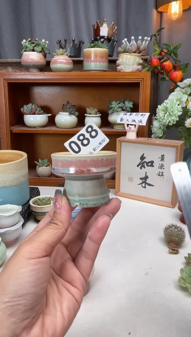 瓷片088知木小芳花盆编号