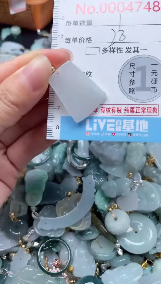 颈饰未镶嵌翡翠4748