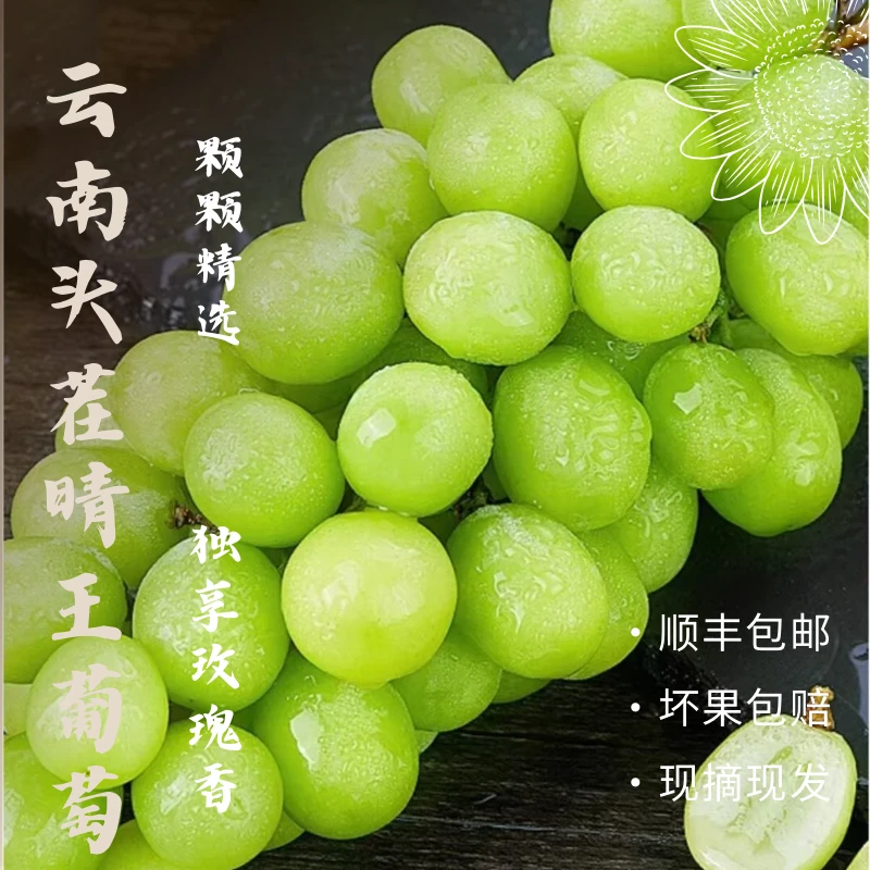 【顺丰包邮】云南高山头茬晴王阳光玫瑰现摘现发玫瑰香脆甜爽口多汁
