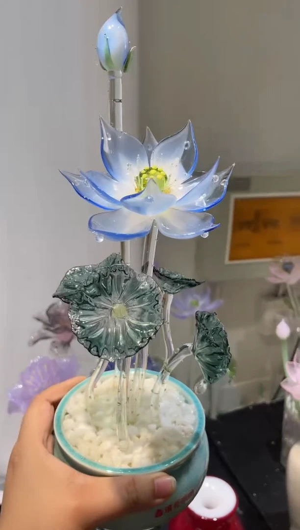琉璃31荷花 清仓福利价