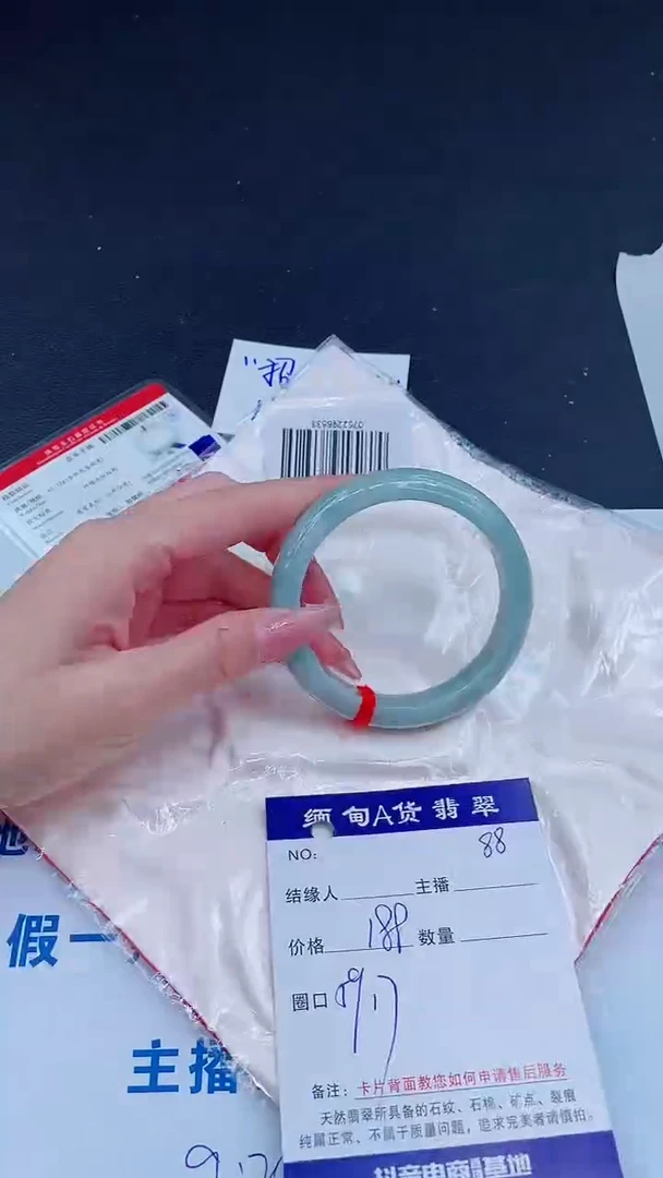 未镶嵌手镯翡翠