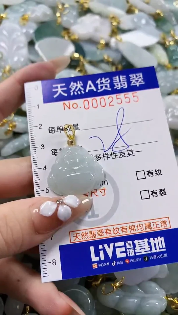 颈饰未镶嵌翡翠天然A货翡翠