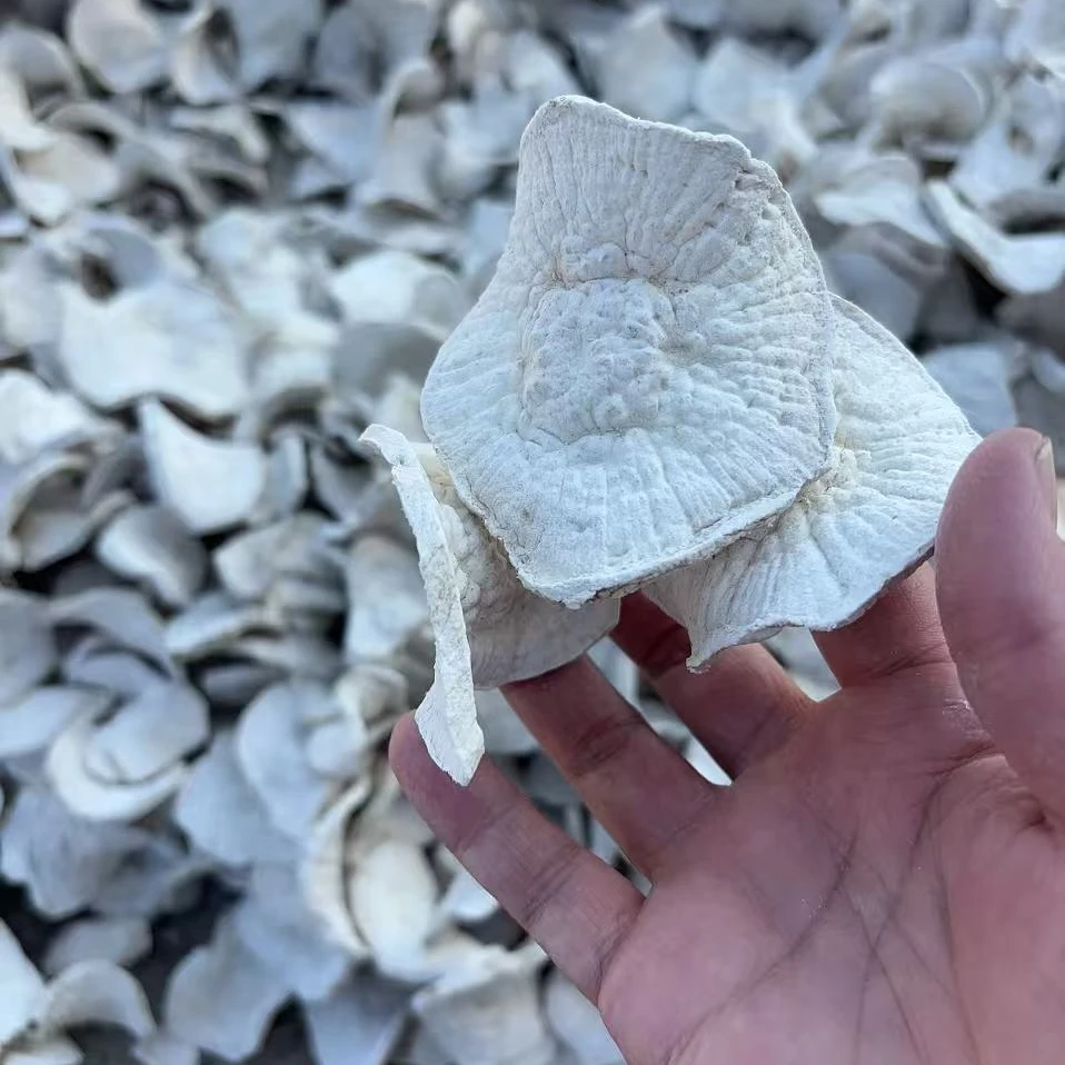 农家番薯干闽南地瓜干清甜易碎相融500克1斤