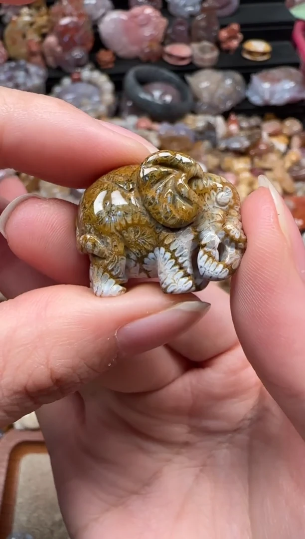 颈饰未镶嵌硅化珊瑚（珊瑚玉）831