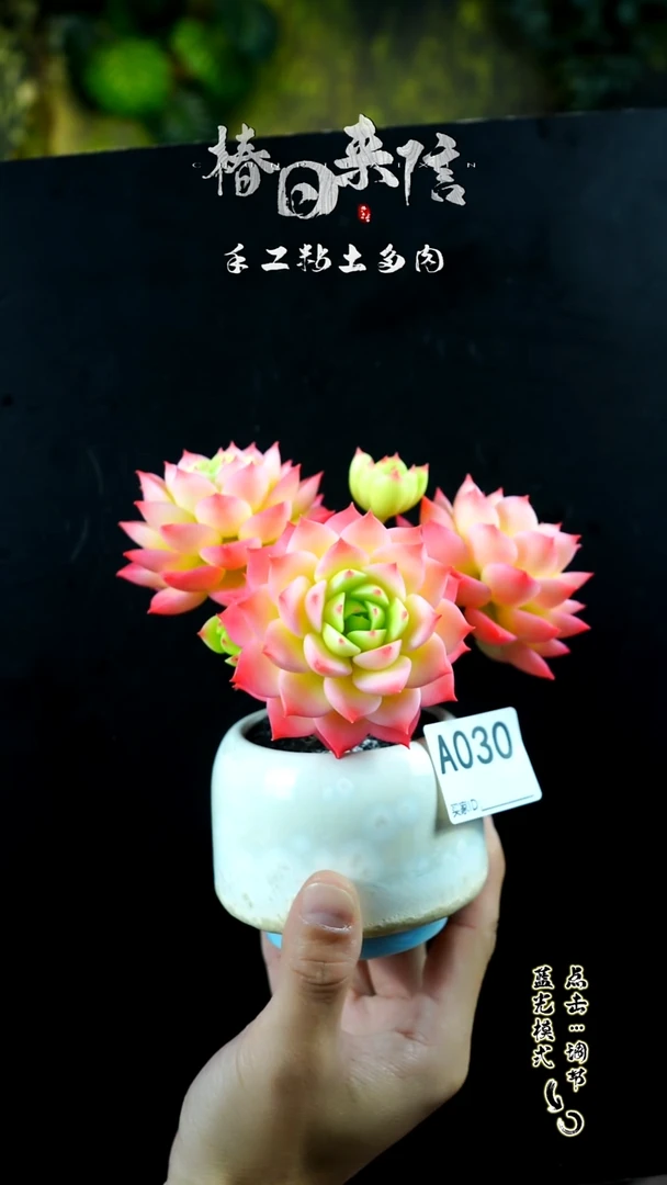 030.。。。。。。。。。。。。。。