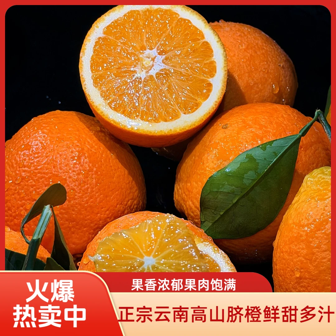 正宗云南高山老树脐橙新鲜现摘爆甜多汁果园直发