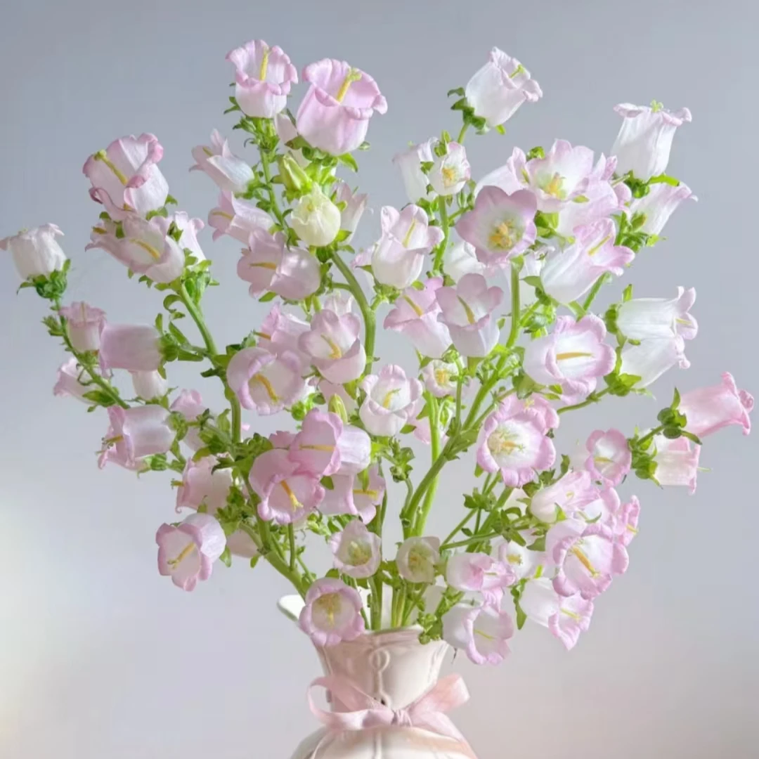 【风铃】3-5枝昆明鲜花批发次日达顺丰包邮到家 冷丰鲜花基地直发