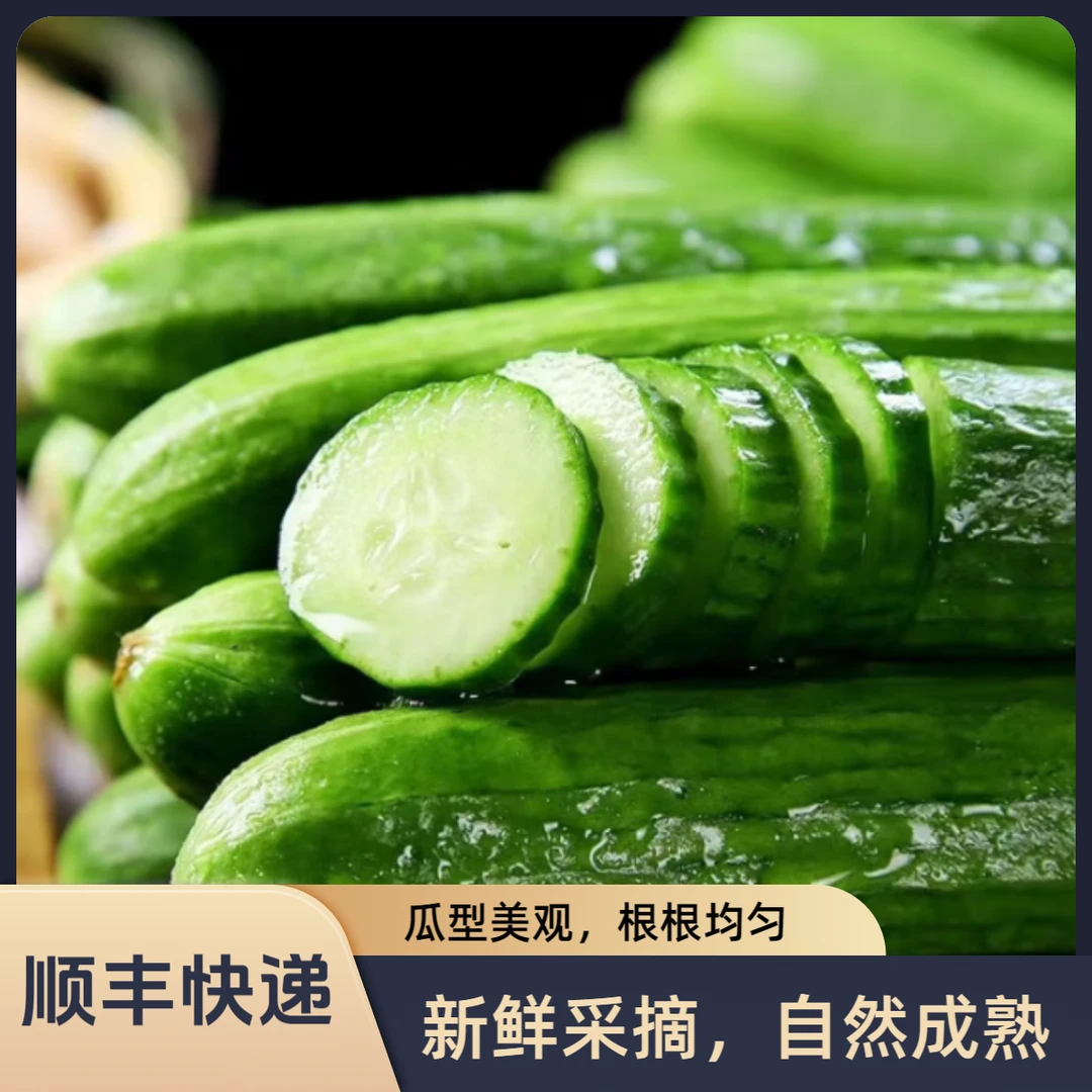 【顺丰快递】天津本地干花黄瓜【绿心黄瓜，生吃首选，清香味十足】