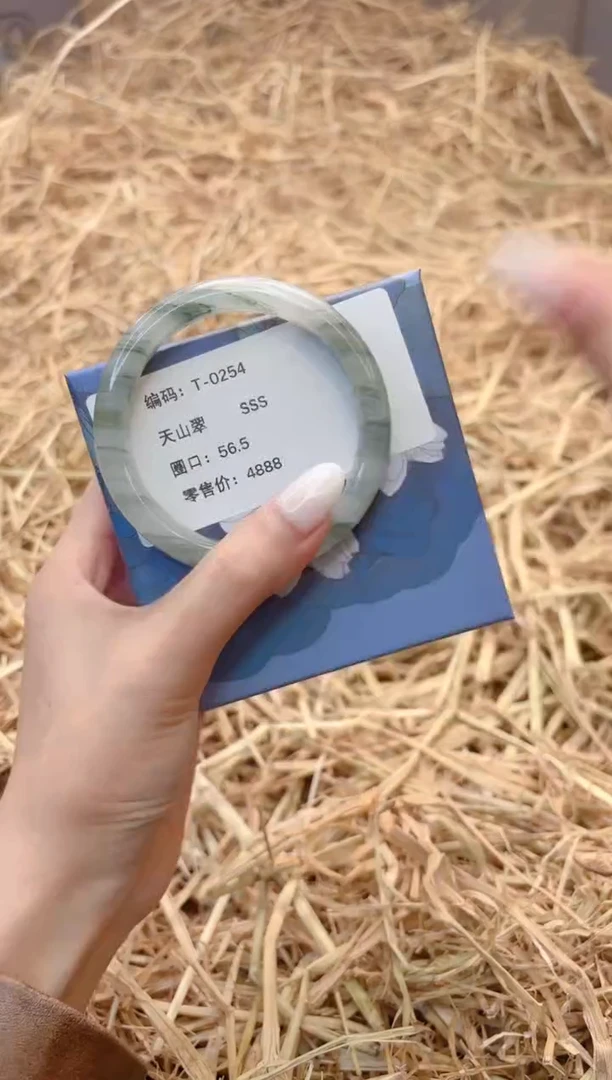 未镶嵌手镯石英质玉0254