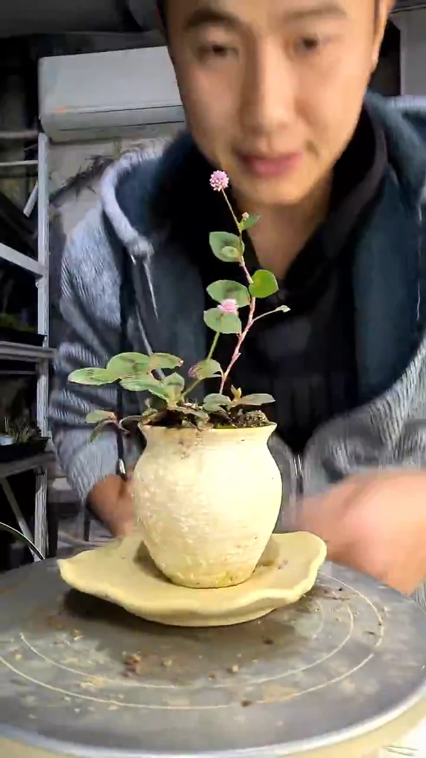 巧*中青园艺一物一拍414