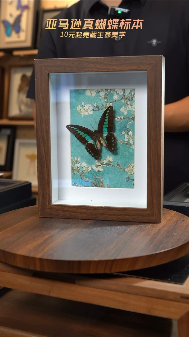 青凤蝶8寸复古框腊梅款