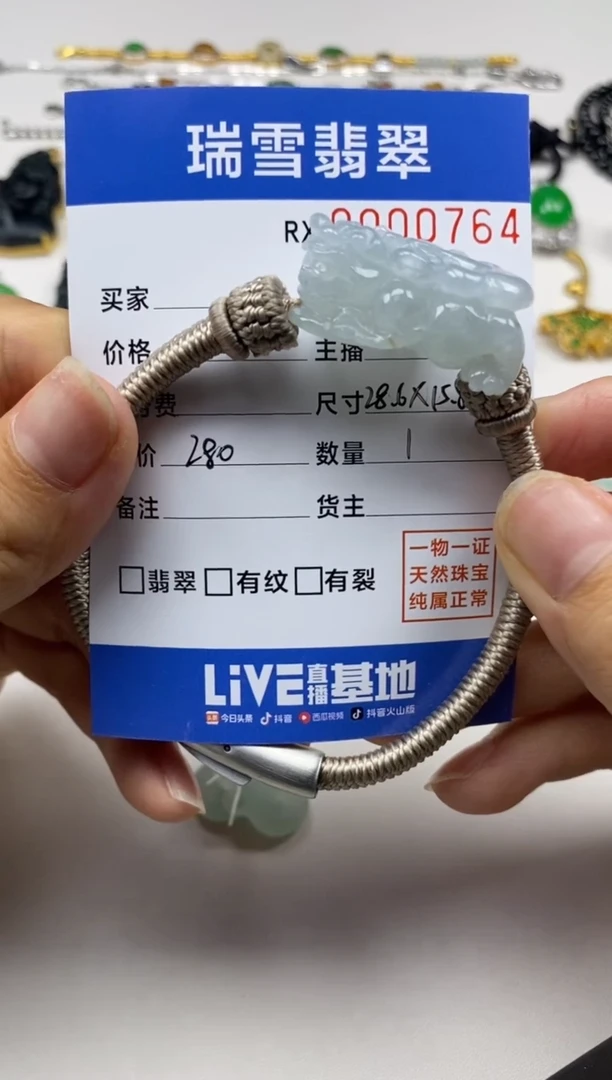 翡翠未镶嵌颈饰貔貅