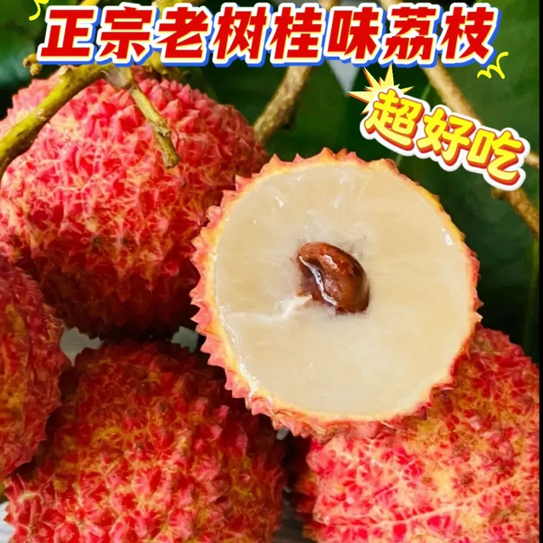 【顺丰冷链包邮】精品桂味荔枝 当季新鲜水果老树精品果大果