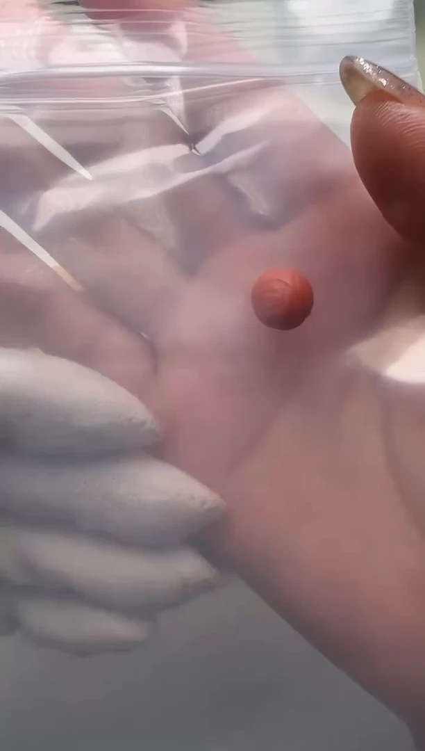 【闪购商品】南红玛瑙吊坠(不含链)未镶嵌南红配饰