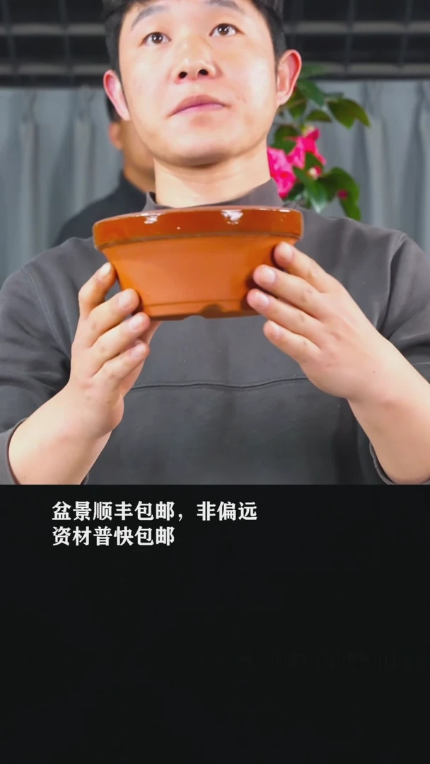 【闪购商品】-常滑烧5号浅