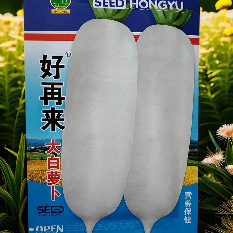 好再来白萝卜种子