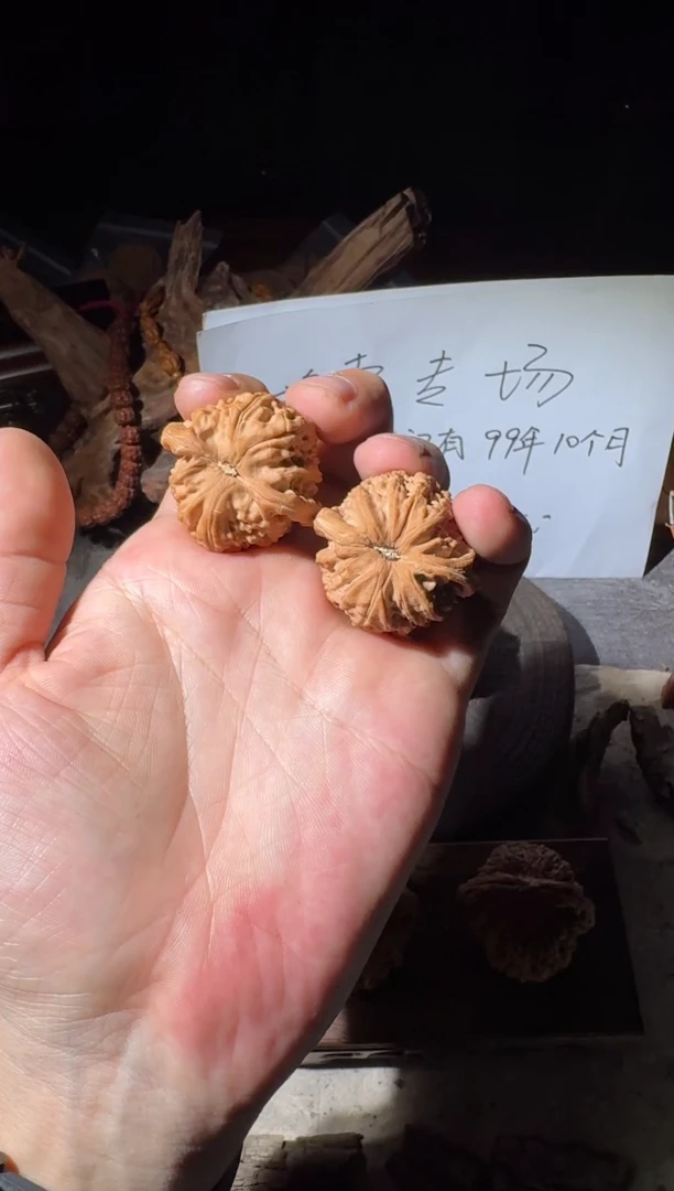 把件文玩核桃?****?白狮子