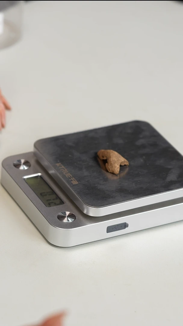 沉香沉香碎屑香港鸡母虫料0.72克