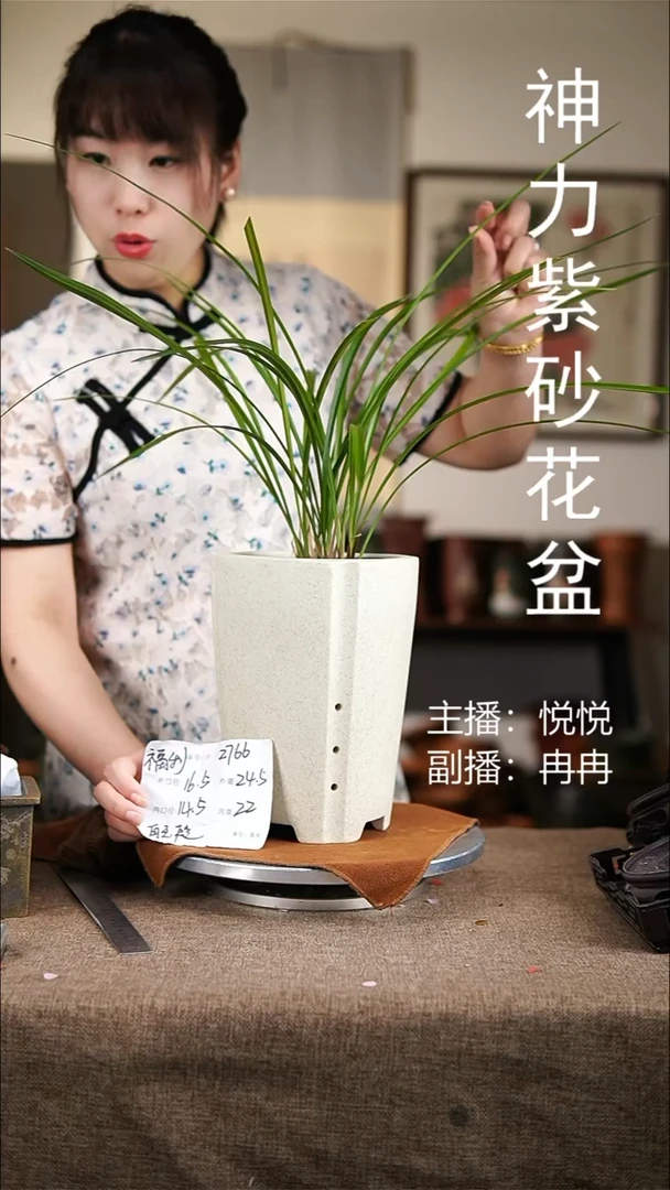 紫砂花盆紫砂花盆2766
