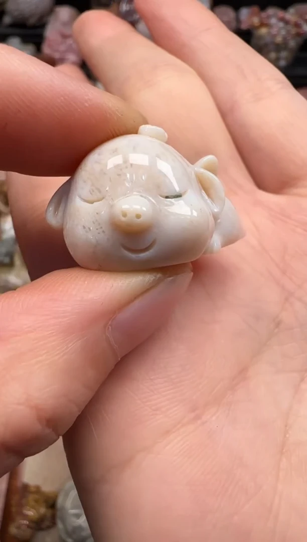 【闪购商品】硅化珊瑚（珊瑚玉）颈饰未镶嵌542