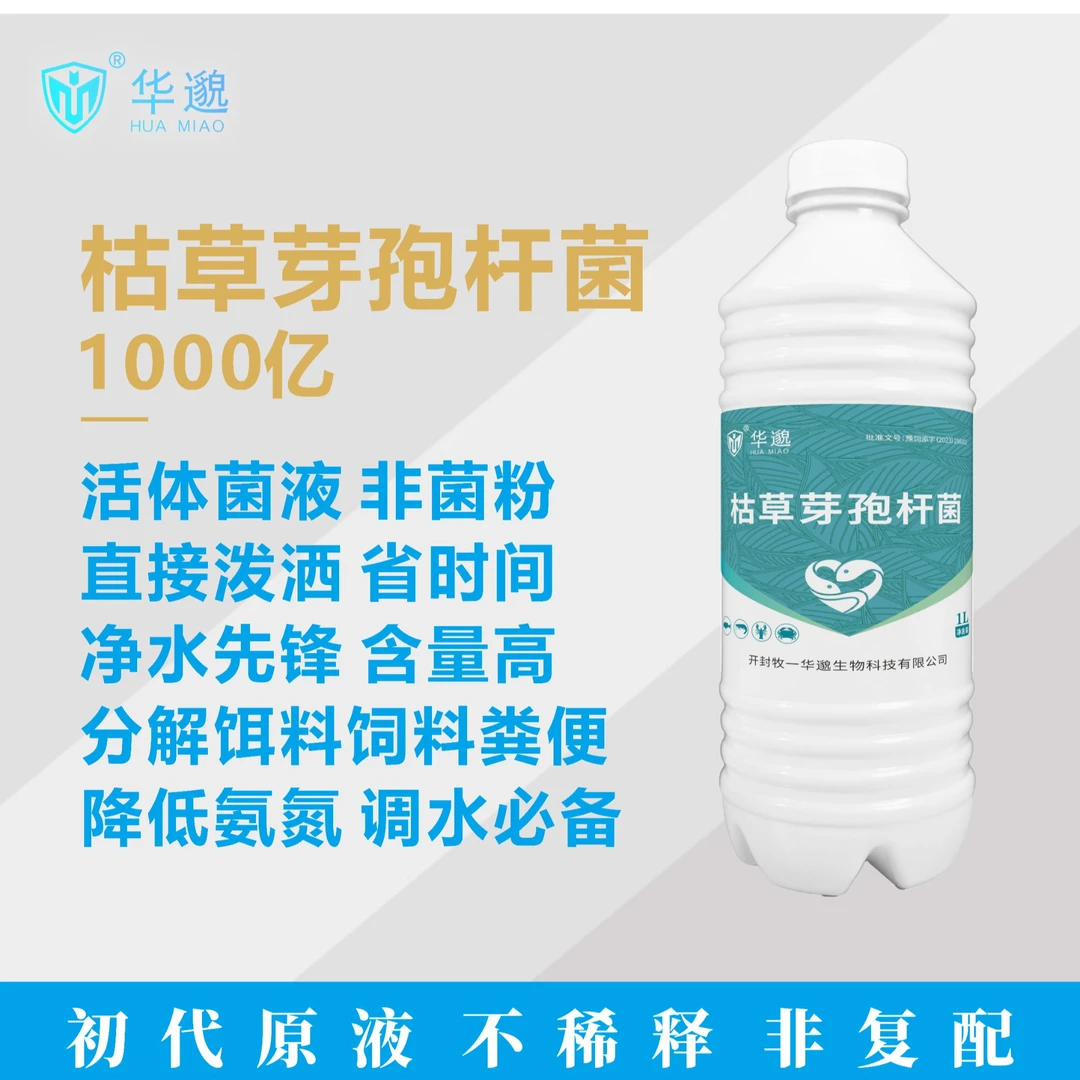 华邈枯草芽孢高含量原液调水必备黑坑竞钓场水产养殖均适用
