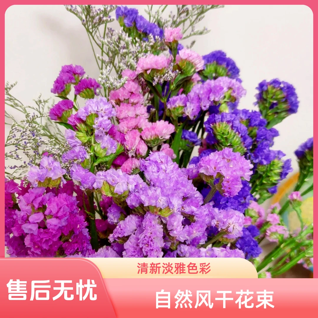 昆明基地直发勿忘我自然干花生日花客厅装饰花束插花800克4色包邮