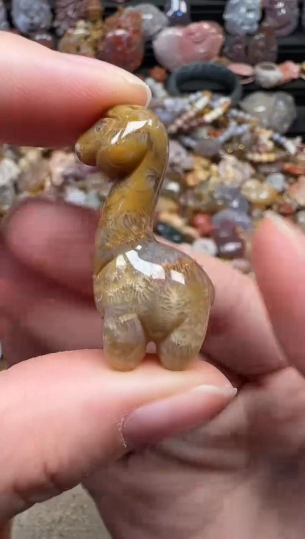 颈饰未镶嵌硅化珊瑚（珊瑚玉）475