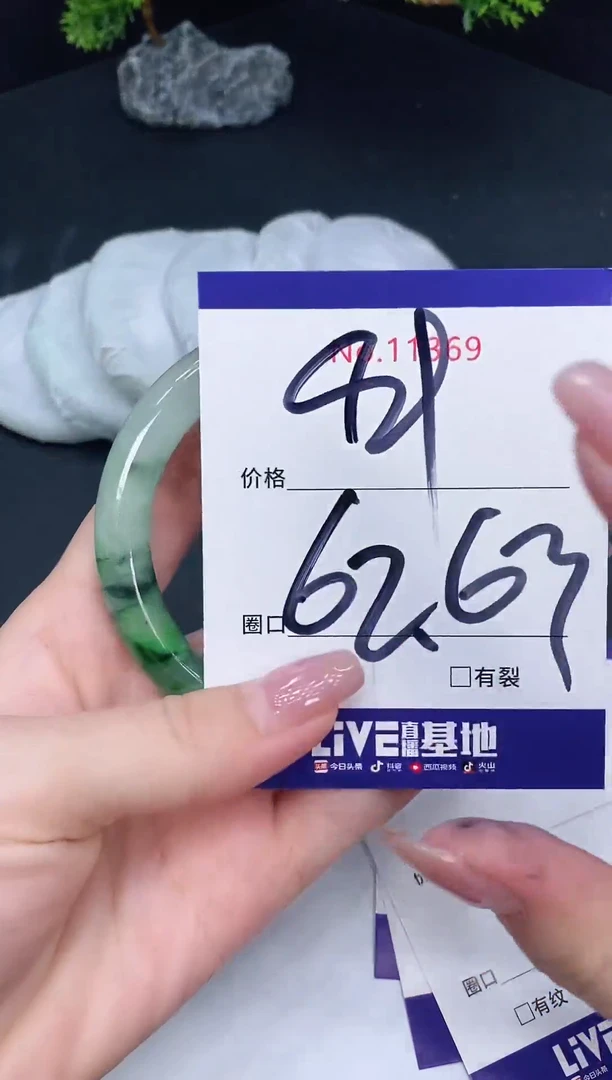 未镶嵌手镯翡翠11369