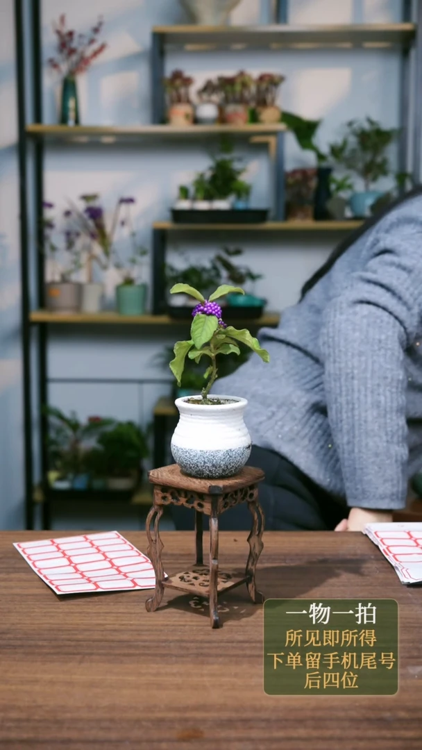 【闪购商品】1---6874灰白紫珠