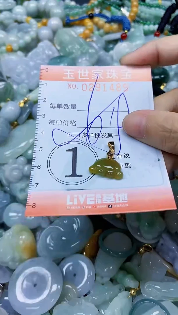 翡翠未镶嵌颈饰闪购0291489多样性发其一