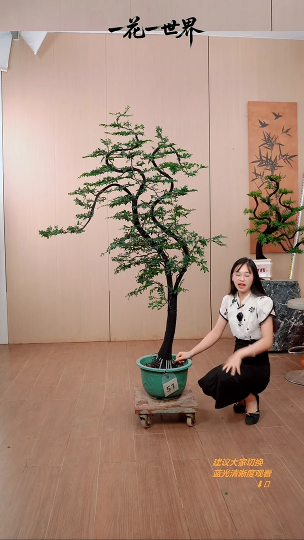 无花朵厂****）【闪购链接】51号链接