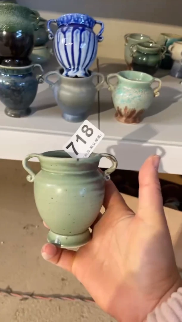 【闪购商品】摆件718知木小芳花盆