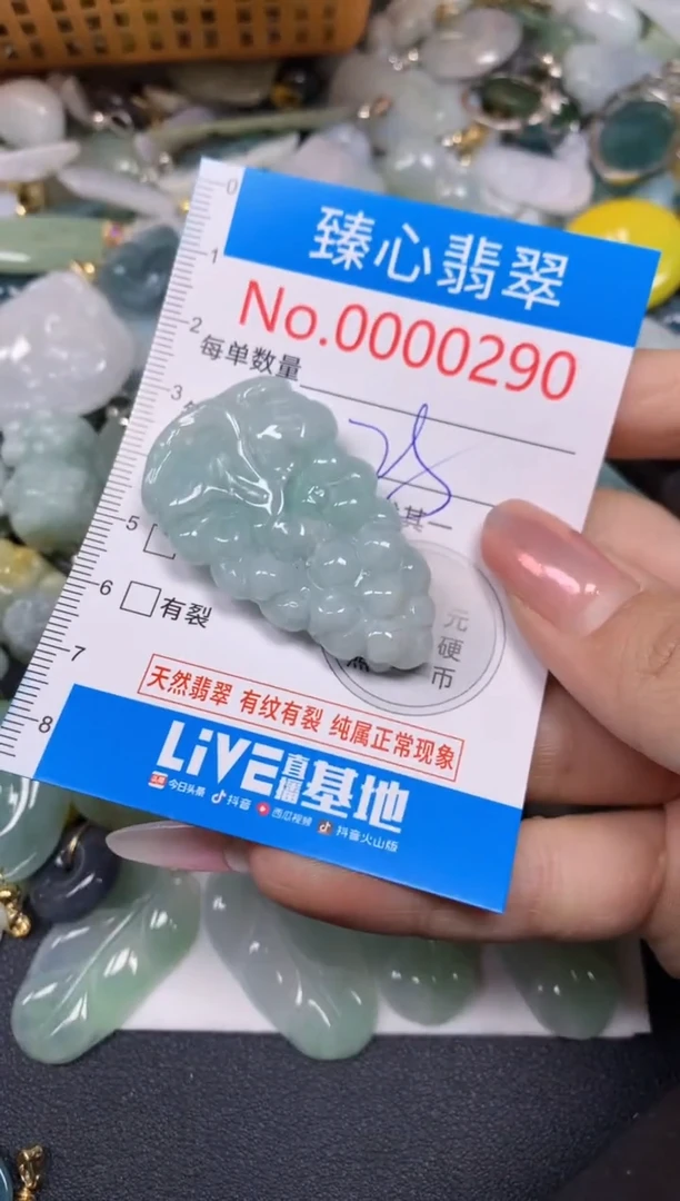 【闪购商品】翡翠颈饰未镶嵌含绳000290