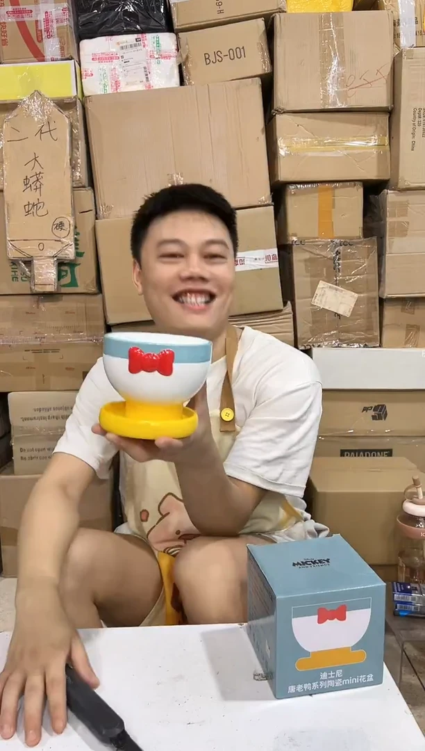 瓷片原盒唐老鸭花盆