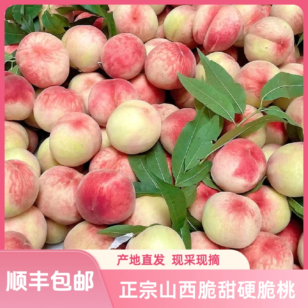 【京东/顺丰包邮】山西脆桃正宗水蜜桃硬脆桃产地直发脆甜新鲜脆桃