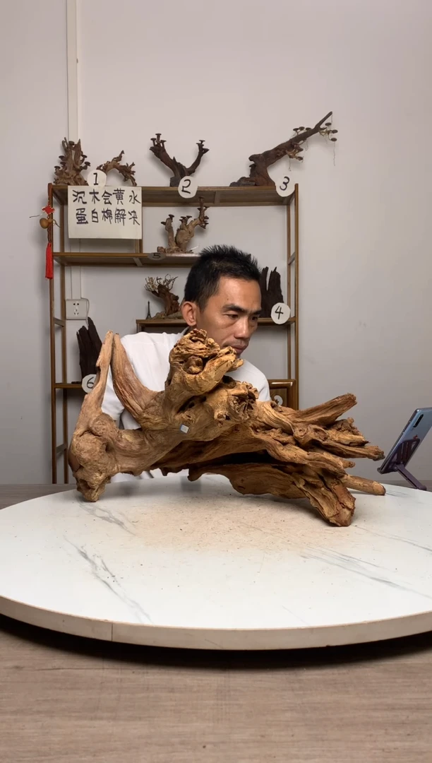 小**树鱼缸造景沉木摆件