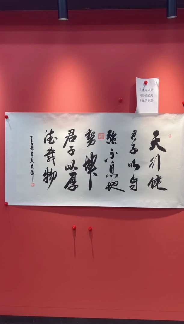 书法马贵军-8平尺-天行健-书法