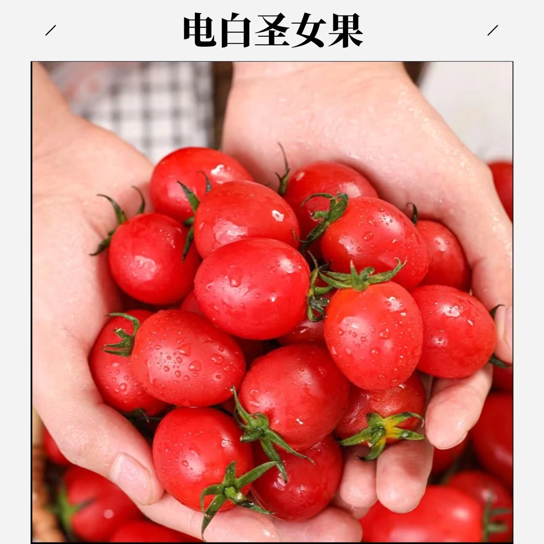 【顺丰次日达】正宗电白千禧圣女果带箱发货2.23斤装千禧圣女果