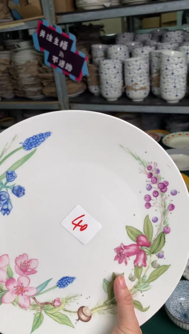 瓷陶瓷原单CC059餐具1个10.5寸