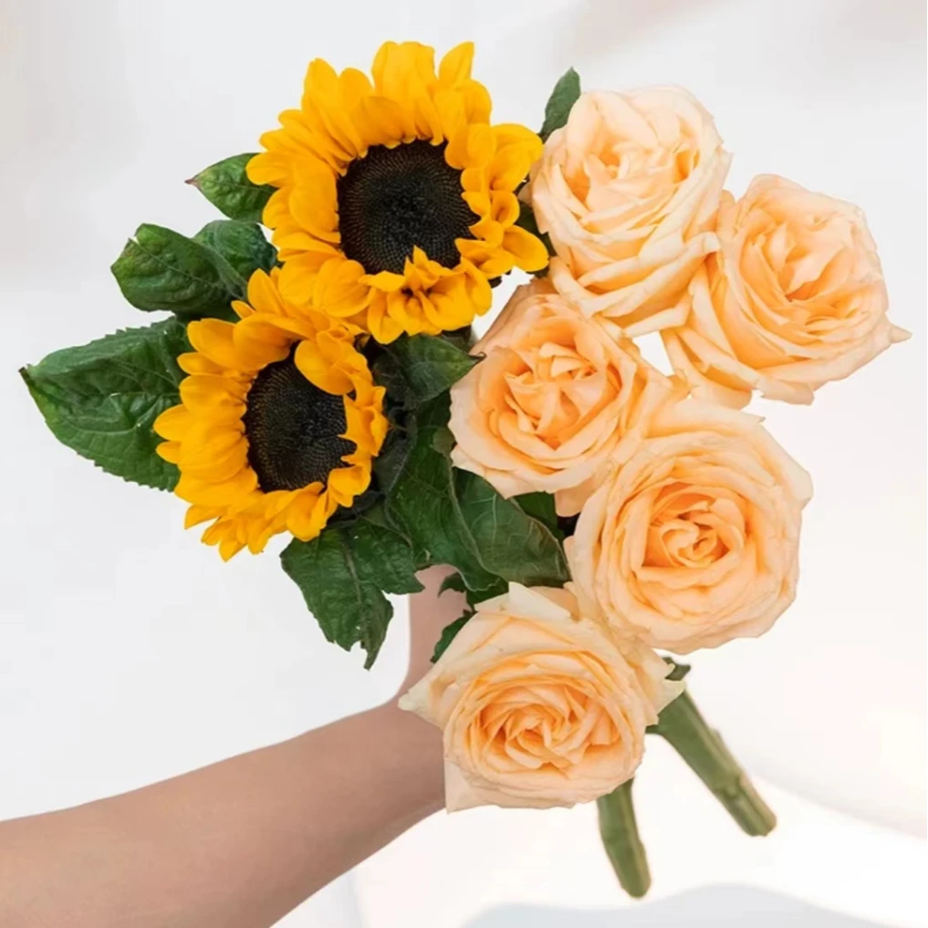 2朵向日葵＋5朵香槟玫瑰  混搭鲜花家养切花