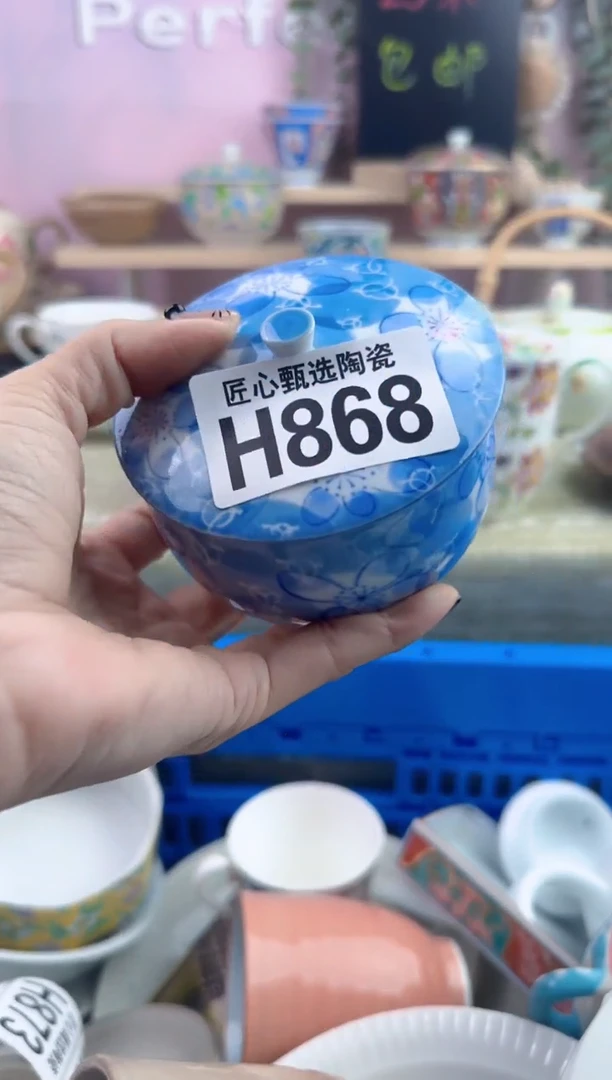 瓷片用****3        H868