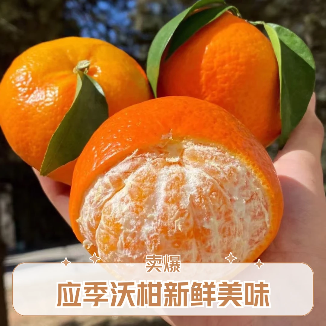 Y3云南高山哀牢山正宗沃柑新鲜应季水果现摘现发