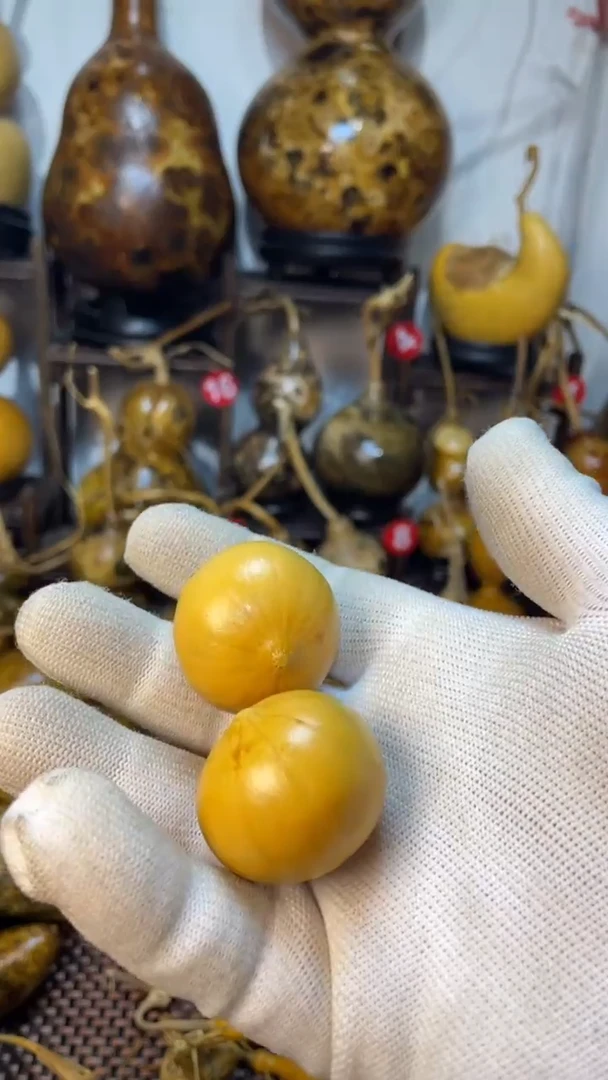 【闪购商品】葫芦葫芦葫芦葫芦葫芦